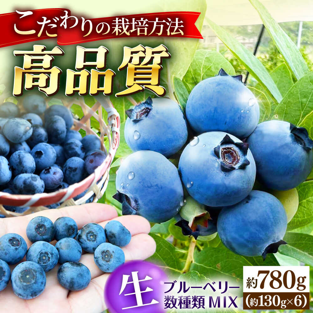 【ふるさと納税】【冷蔵】【6月中旬から7月下旬に順次発送】ブルーベリー 780g（130g×6パック） 生ブルーベリー ミックスベリー ブルーベリー 三次市/小川モータース[APCH011]