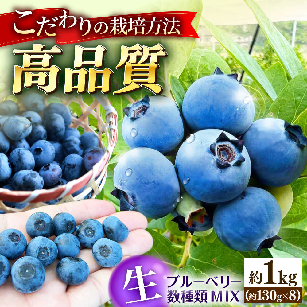 【ふるさと納税】【冷蔵】【6月中旬から7月下旬に順次発送】ブルーベリー 約1kg（130g×8パック） 生ブルーベリー ミックスベリー ブルーベリー 三次市/小川モータース[APCH012]