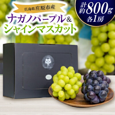 【ふるさと納税】【先行予約】ナガノパープル・シャインマスカット食べ比べセット【配送不可地域：離島・北海道・沖縄県】【1465072】