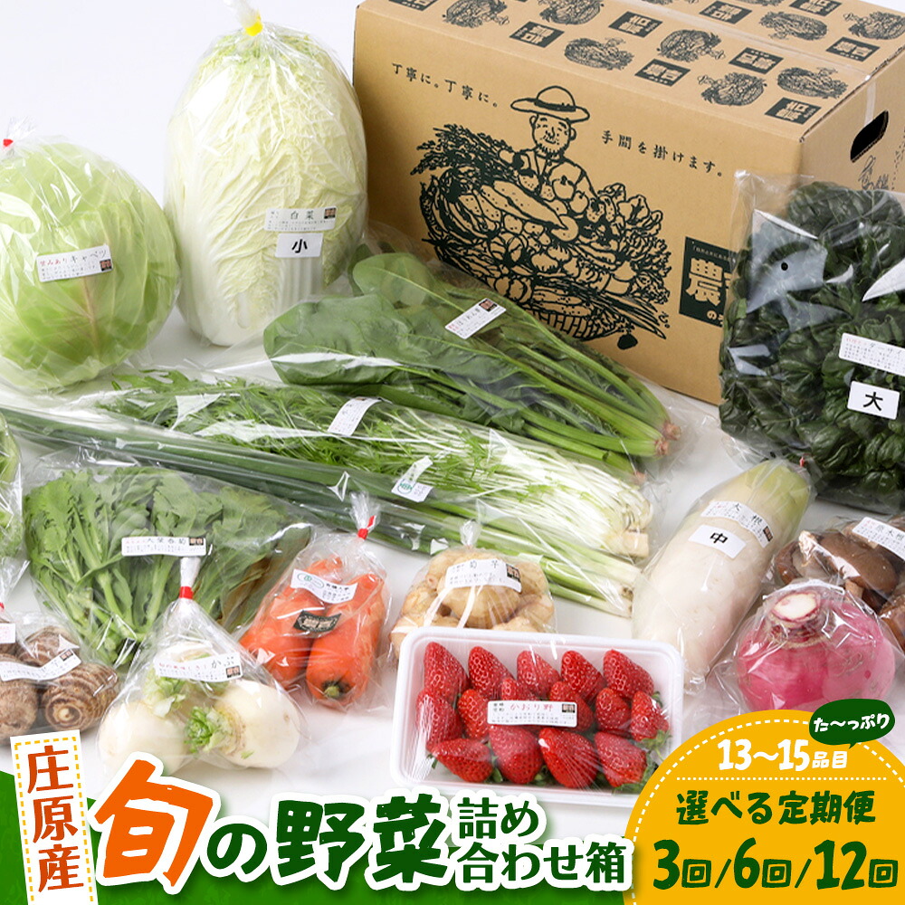 【ふるさと納税】（13～15品目）広島県庄原産「旬の野菜」詰め合わせ箱 配送回数が選べる【1回配送 / 定期便3回 / 定期便6回 / 定期便12回】 SN-6 食べ方の説明書付 野菜セット 野菜 やさい 詰め合わせ おまかせ おすすめ 新鮮 直送 旬 農産物 広島県庄原市 広島県 庄原市｜広島県庄原市