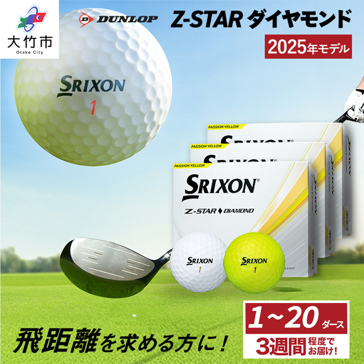【ふるさと納税】2025年ひな形 スリクソン Z-STAR 金剛石 1十二から20十二 ダンロップ ゴルフどんぶり鉢｜12個 24個 36個 48個 60個 120個 240個 DUNLOP SRIXON 飛不一致 直進性 ソフトフィール 打感 [1893-1895][1897-1898][2200-2213]