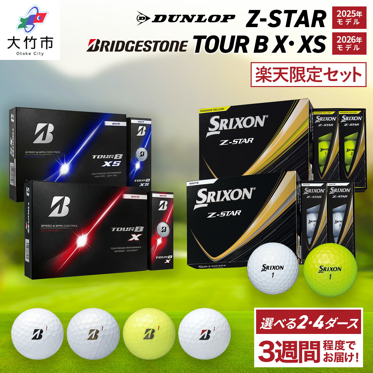 【ふるさと納税】★制限事項★ダンロップ・ブリヂストン打ち比べ書き割り (Z-STAR ・TOUR Bつづき物) ゴルフどんぶり鉢｜BRIDGESTONE ブリジストン 周遊旅行B DUNLOP SRIXON スリクソン 回転運動系 ソフトフィール 打感 ふるさと 差し上げ物 差し上げ物 golf [2418-2450]