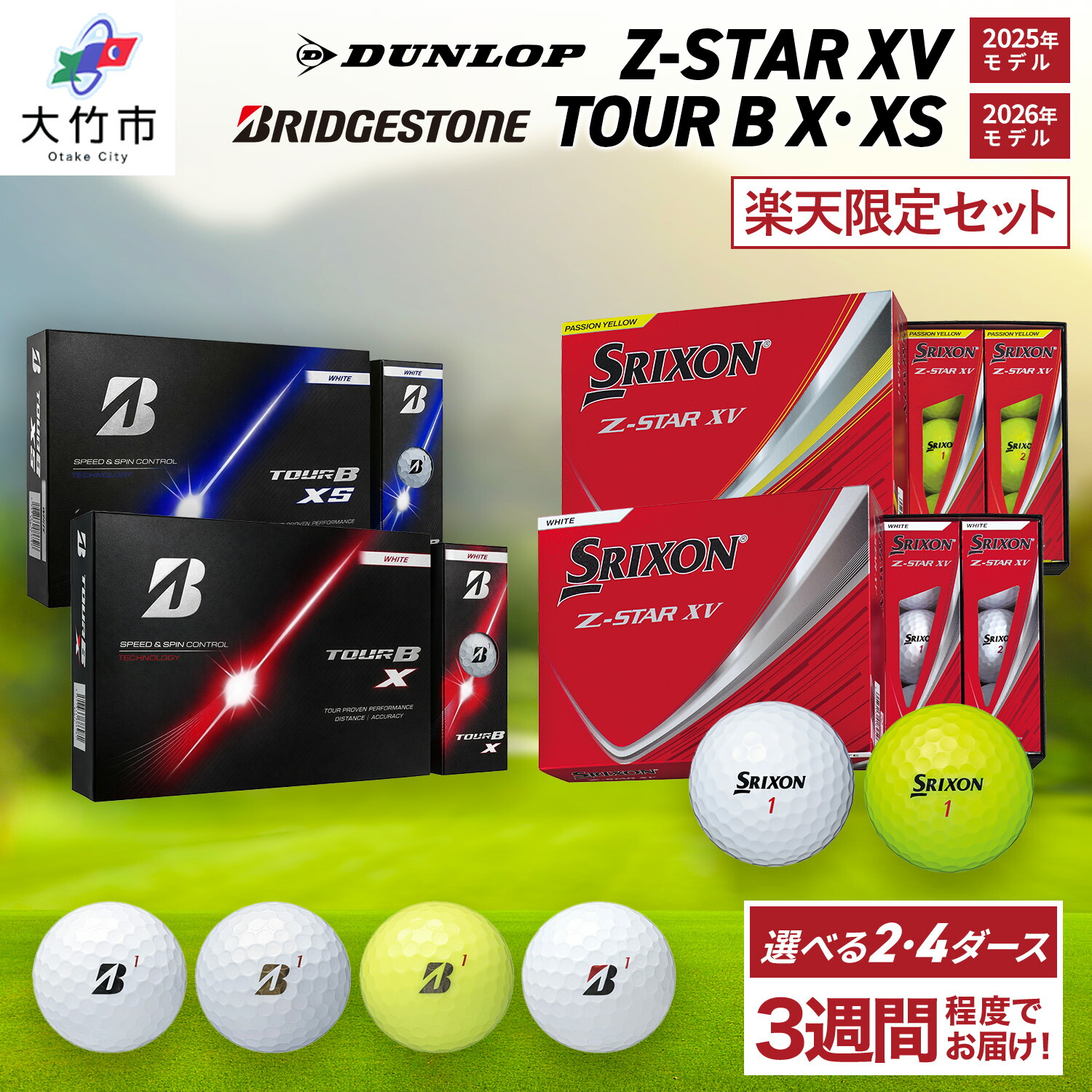 【ふるさと納税】★押さえる★ダンロップ・ブリヂストン打ち比べ書き割り (Z-STAR XV・TOUR B続きもの) ゴルフどんぶり鉢｜BRIDGESTONE ブリジストン 周遊旅行B DUNLOP SRIXON スリクソン 回転運動系 ソフトフィール 打感 ふるさと 差し上げ物 差し上げ物 golf [2451-2483]