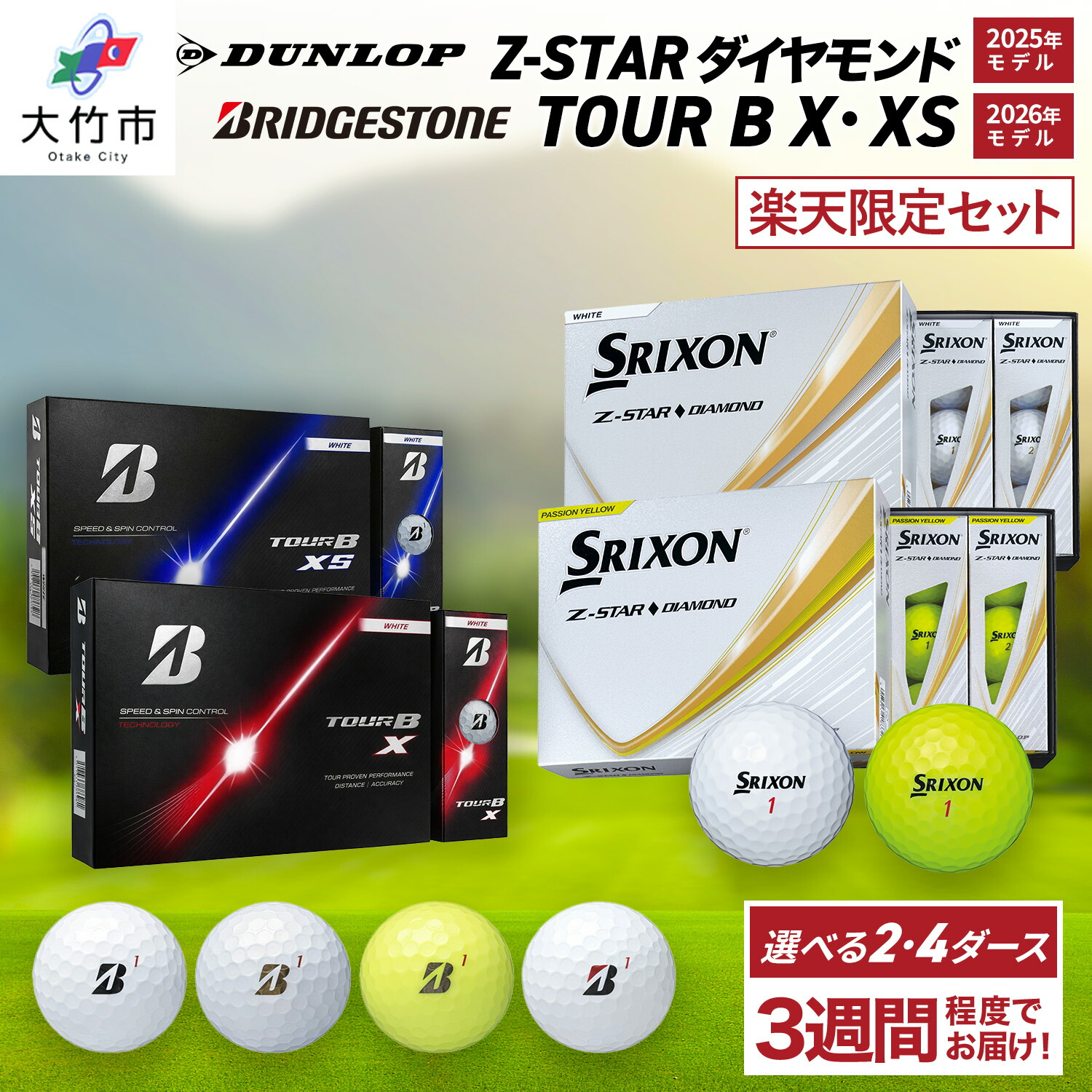 【ふるさと納税】★押さえる★ダンロップ・ブリヂストン打ち比べ書き割り (Z-STAR 金剛石・TOUR B続きもの) ゴルフどんぶり鉢｜BRIDGESTONE ブリジストン 周遊旅行B DUNLOP SRIXON スリクソン 回転運動系 ソフトフィール 打感 ふるさと 差し上げ物 差し上げ物 golf [2484-2516]