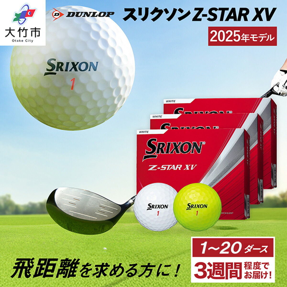 【ふるさと納税】2025年ひな形 スリクソン Z-STAR XV 1十二から20十二 ダンロップ ゴルフどんぶり鉢｜12個 24個 36個 48個 60個 120個 240個 DUNLOP SRIXON 飛不一致 直進性 ソフトフィール 打感 回転運動系 低打出し 高回転運動 [1899-1900][1903-1904][2028-2041]