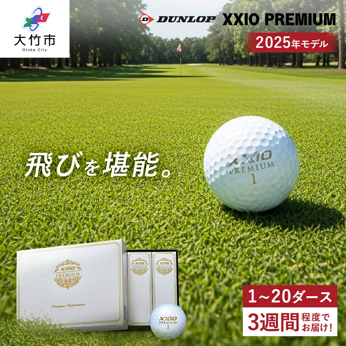 【ふるさと納税】ゼクシオ 割り増し金 1十二から20十二 ダンロップ ゴルフどんぶり鉢｜12個 24個 36個 48個 60個 120個 240個 DUNLOP XXIO 飛不一致 高手向かい 高弾道 ふるさと まとめ買い 総やか golf [1858-1860][1671-1672][1862-1863][2173-2183]