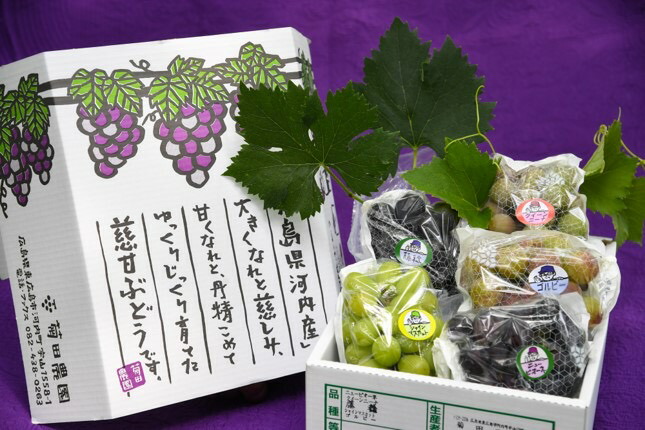 【ふるさと納税】特選ぶどう4～5種おまかせ詰め合わせ(約2kg)【配送時期：8月下旬～10月下旬】