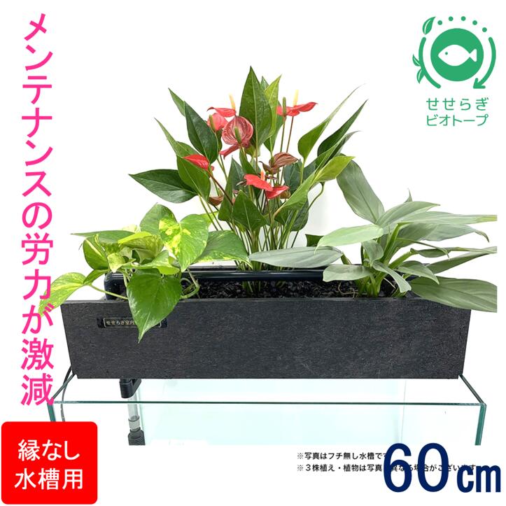 楽天市場】【ふるさと納税】せせらぎビオトープ 20cm型基本セット