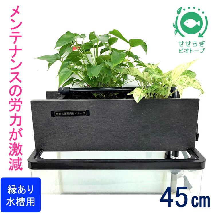 楽天市場】【ふるさと納税】せせらぎビオトープ 20cm型基本+木枠