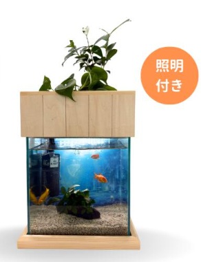 楽天市場】【ふるさと納税】せせらぎビオトープ 20cm型基本セット