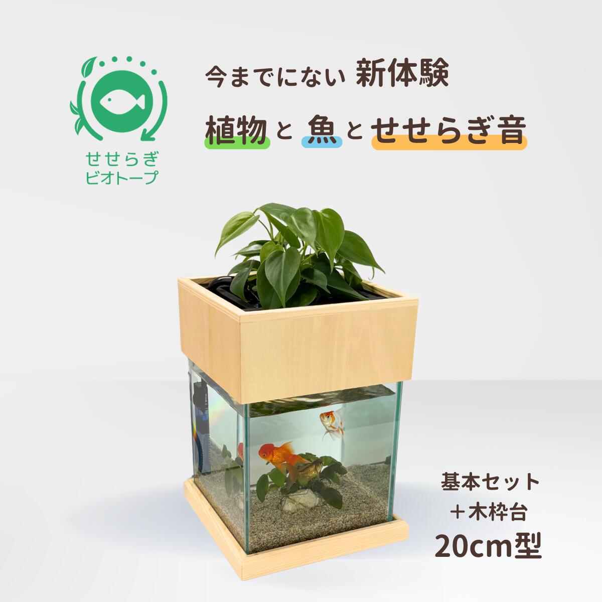 せせらぎビオトープ　25cm型 楽天市場】【ふるさと納税】せせらぎビオトープ 25cm型基本+照明