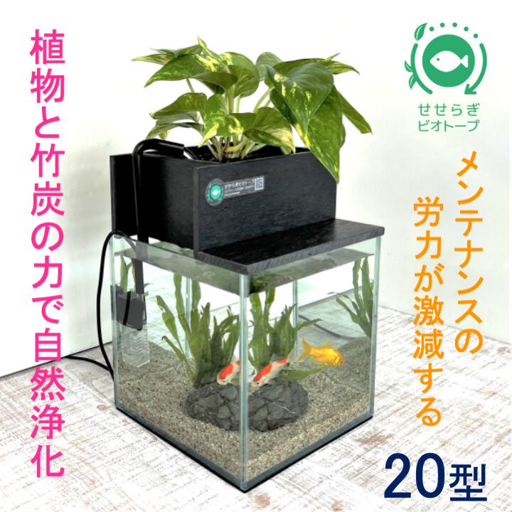 楽天市場】【ふるさと納税】せせらぎビオトープ 25cm型照明+木枠