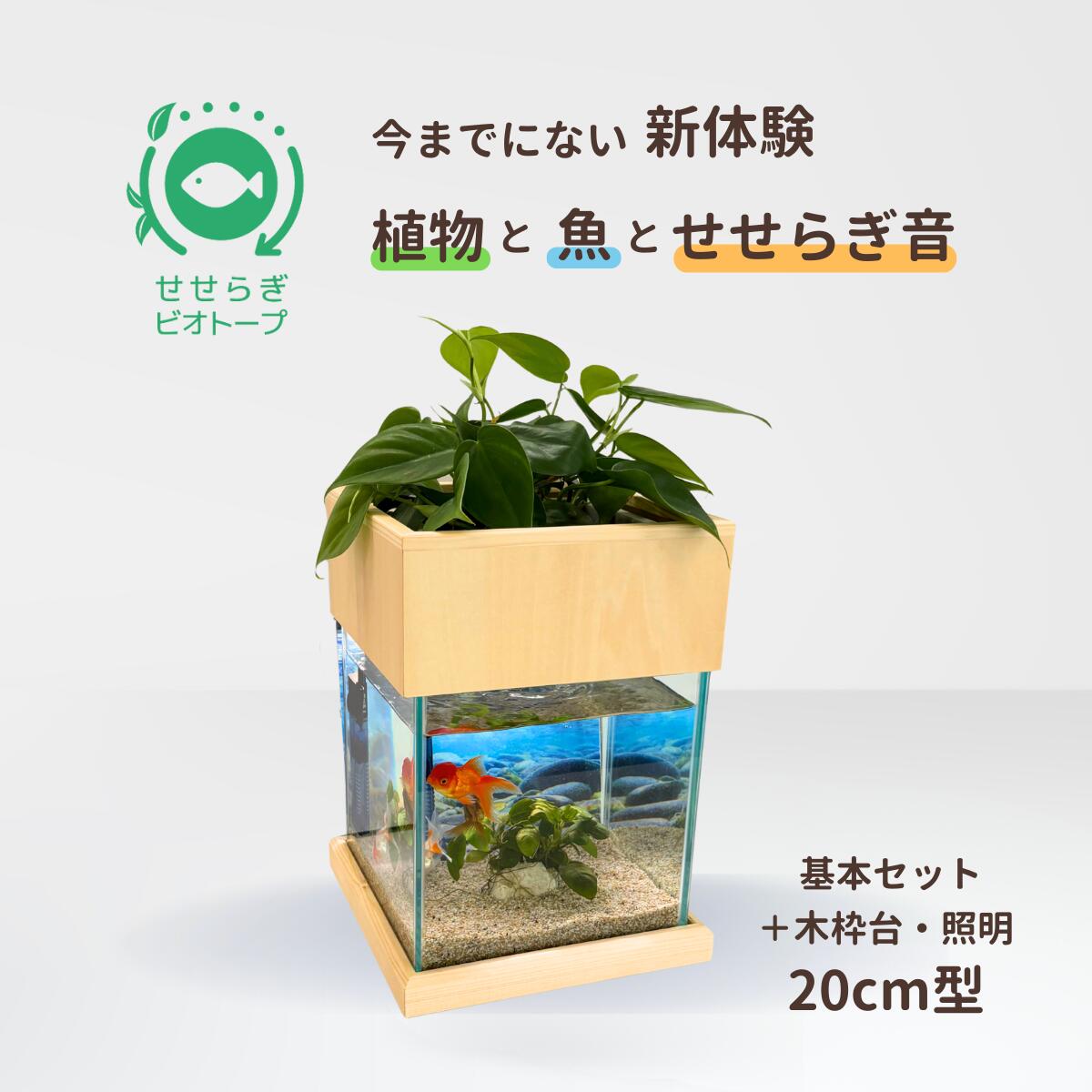 【ふるさと納税】せせらぎビオトープ　20cm型基本照明＋木枠台セット