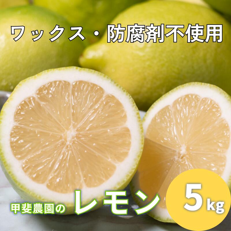 【ふるさと納税】ワックス・防腐剤不使用の皮ごと使えるレモン5kg【配送時期：9月上旬～4月下旬】
