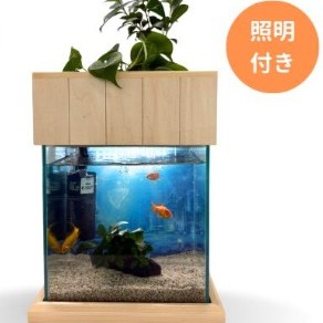 【ふるさと納税】小川ビオトープ 25糎型照明装置+木枠台書き割り