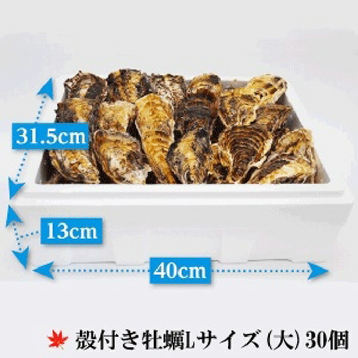 ふるさと納税 北海道 沖縄送致不可 頂き物用件 外皮好い目牡蠣 大きいきさ 大 30個 加温用 Chspandc Org Au