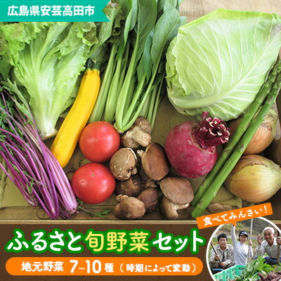 【ふるさと納税】安芸高田市の小さな農家お届けするふるさと旬野菜セット 野菜類 詰合せ やさい