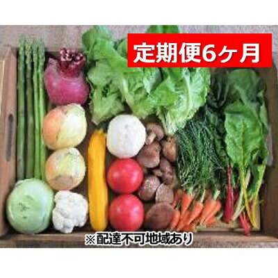 【ふるさと納税】旬の野菜・定期便（6か月）【配達不可：北海道・沖縄・離島】 セット 詰合せ 6ヶ月 6回