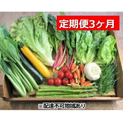 【ふるさと納税】旬の野菜・定期便（3か月）【配達不可：北海道・沖縄・離島】 セット 詰合せ 3カ月 3回