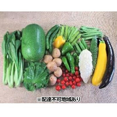 【ふるさと納税】旬の野菜【L】セット【配達不可：北海道・沖縄・離島】 詰合せ