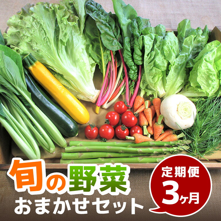 【ふるさと納税】旬の野菜・定期便（3か月）【配達不可：北海道・沖縄・離島】 セット 詰合せ 3カ月 3回