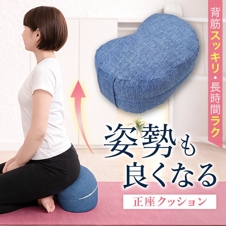 【ふるさと納税】身のこなしも好意をもってなる正座座布団 正座 あぐら 座禅 思い入れる 骨盤帯 立てる 座布団 広島 安芸高田市