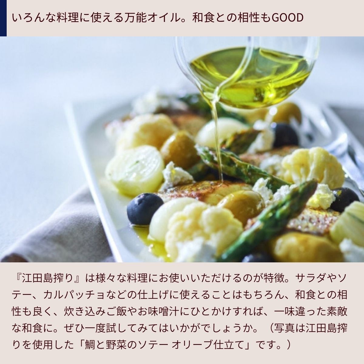 楽天市場 ふるさと納税 江田島のエクストラバージンオリーブオイル 江田島搾り 100ml 広島県江田島市