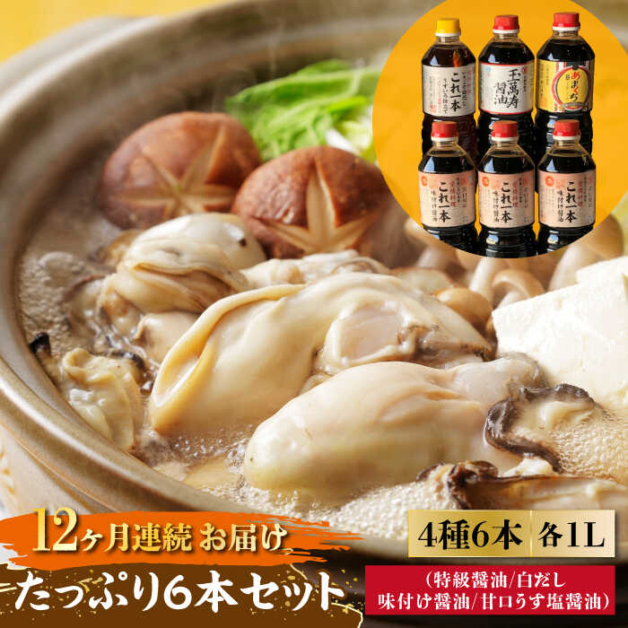 【ふるさと納税】調味料 セット 保存 だし 醤油 しょうゆ 【全12回定期便】忙しいあなたに！ これ1本で美味しい味付け！たっぷり6本セット (特級/白だし/味付け/あまくちうす塩) 料理 簡単レシピ うどん 和食 ギフト 江田島市/有限会社濱口醤油[XAA019]