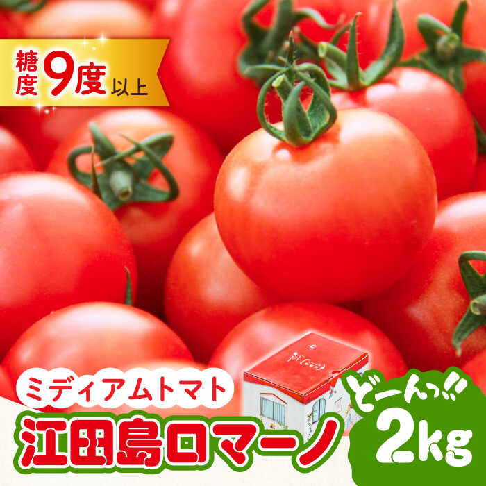 【ふるさと納税】野菜 やさい トマト とまと 「食の安全」を守りたい！ 自然を活用した低農薬栽培！【11月上旬～翌年6月末まで順次発送】江田島ロマーノ トマト 2kg 料理 人気 美容 健康 ギフト 広島県産 江田島市/有限会社グリーンファーム沖美[XAB005]