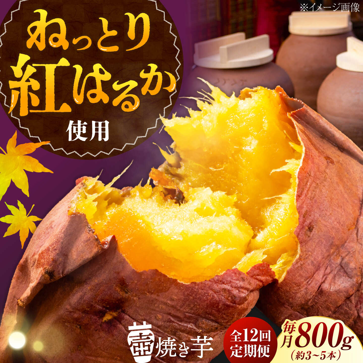 【ふるさと納税】【全12回定期便】さつまいも 芋 『てくてく』の壺焼き芋 800g 芋 さつまいも人気 お菓子 スイーツ 美味しい 和菓子 ギフト プレゼント 江田島市/峰商事 合同会社[XAD047] さつまいも 芋 サツマイモ やきいも スイーツ お菓子｜広島県江田島市