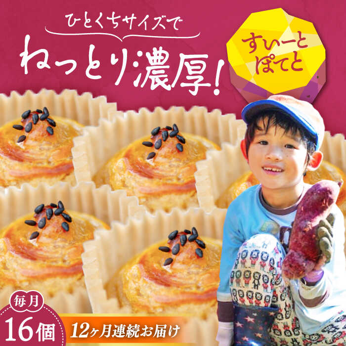 【ふるさと納税】【全12回定期便】さつまいも 芋 ひとくちサイズの スイートポテト 16個セット さつまいも 人気 お菓子 スイーツ 美味しい 和菓子 ギフト プレゼント 江田島市/峰商事合同会社[XAD062] さつまいも 芋 サツマイモ やきいも スイーツ お菓子