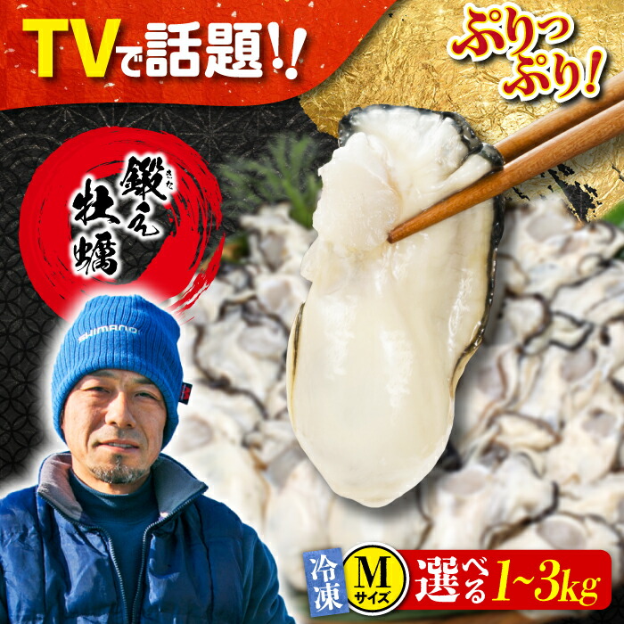 【ふるさと納税】TVで話題！【冷凍】【選べる内容量】鍛え牡蠣 むき身 Mサイズ 1kg～3kg 大粒 かき 人気 海鮮 BBQ 簡単 レシピ ギフト 江田島市/有限会社寺本水産 [XAE021] 牡蠣 冷凍 むき身 殻付き かき カキ 生牡蠣 カキフライ 広島牡蠣
