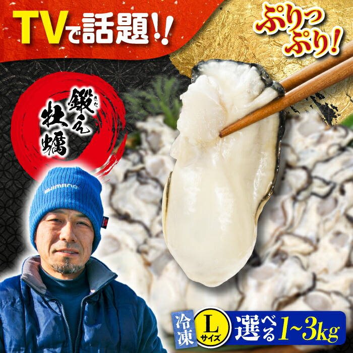 【ふるさと納税】TVで話題！【冷凍】【選べる内容量】鍛え牡蠣 むき身 Lサイズ 1kg～3kg 広島県産 大粒 かき 人気 海鮮 BBQ 簡単 レシピ ギフト 牡蠣 かき カキ 冷凍 江田島市/有限会社寺本水産[XAE024] 牡蠣 冷凍 むき身 殻付き かき カキ 生牡蠣 カキフライ 広島牡蠣