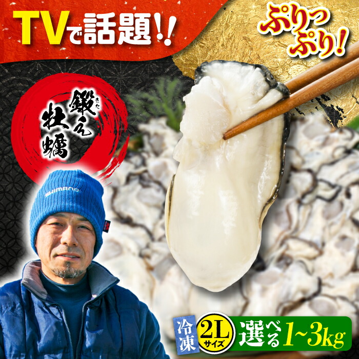 【ふるさと納税】TVで話題！【冷凍】【選べる内容量】鍛え牡蠣 むき身 2Lサイズ 1kg～3kg 広島県産 大粒 かき 人気 海鮮 BBQ 簡単 レシピ ギフト 牡蠣 かき カキ 冷凍 江田島市/有限会社寺本水産 [XAE027] 牡蠣 冷凍 むき身 殻付き かき カキ 生牡蠣 カキフライ 広島牡蠣