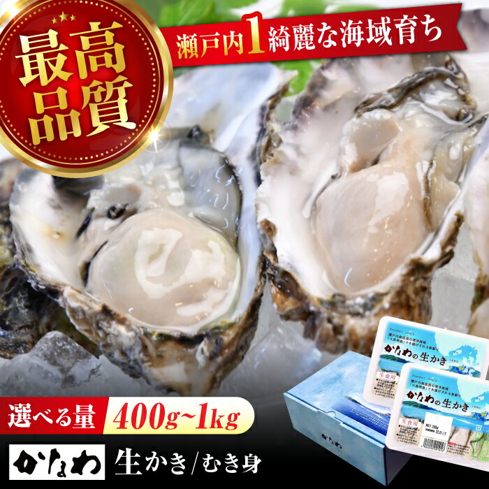 【ふるさと納税】広島牡蠣の老舗かなわ【生牡蠣】【選べる内容量】安心・安全の新鮮牡蠣 牡蠣 400g～1kg かき むき身 パック入り 生食用 魚介類 海鮮 広島県産 江田島市/株式会社かなわ[XBP001] 牡蠣 生食 むき身 殻付き かき カキ 生牡蠣 カキフライ 広島牡蠣