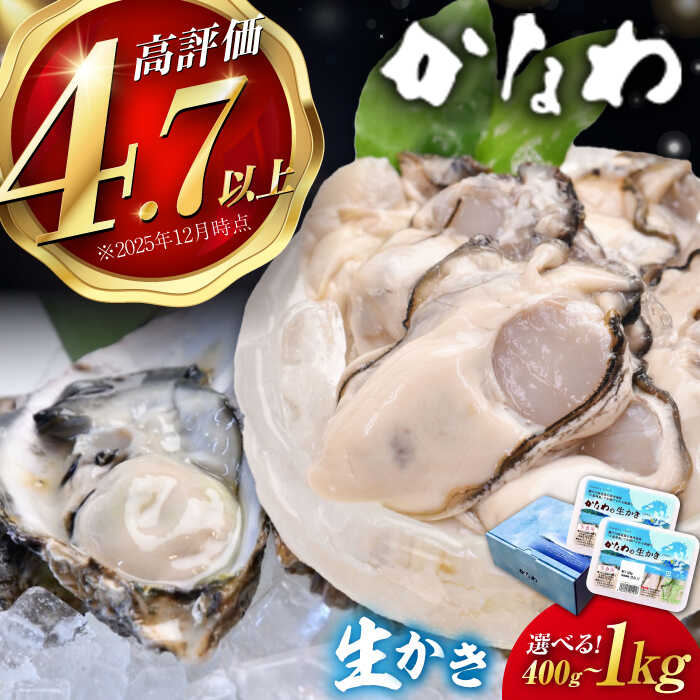 【ふるさと納税】広島牡蠣の老舗かなわ【生牡蠣】【選べる内容量】安心・安全の新鮮牡蠣 牡蠣 400g～1kg むき身 パック入り 牡蠣 かき カキ カキフライ 生食用 魚介類 海鮮 ギフト 広島県産 人気 送料無料 江田島市/株式会社かなわ[XBP001]