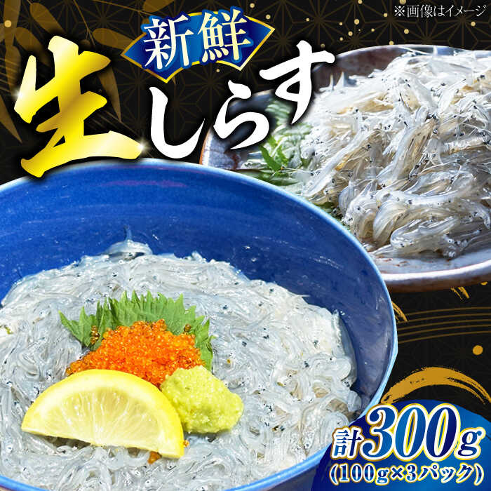 【ふるさと納税】生しらす 100g&times;3個 しらす シラス 冷凍 小分け 魚介類 海鮮 丼 広島県産 江田島市/七宝丸[XBY013] 【7日以内発送】｜広島県江田島市
