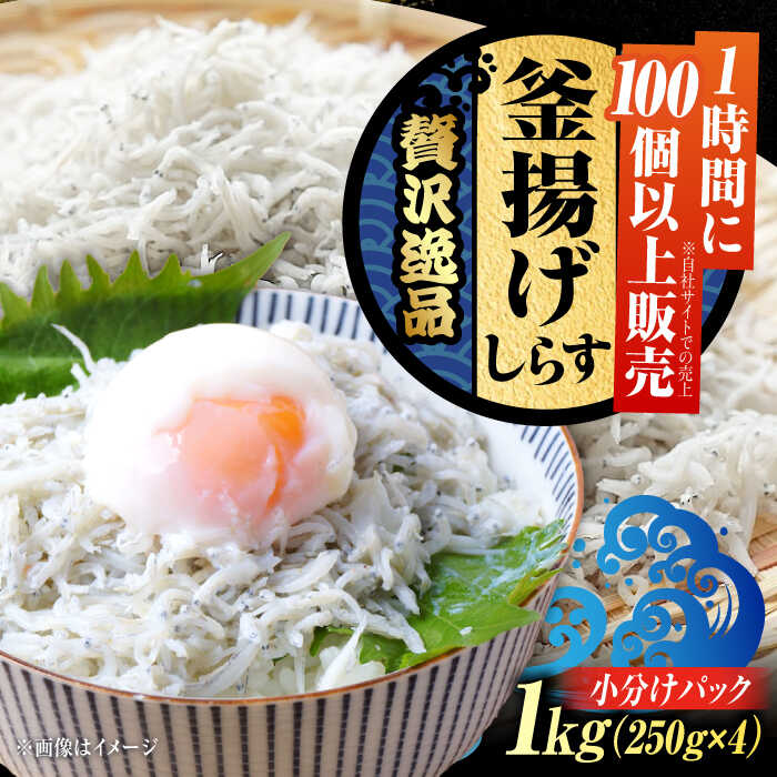 【ふるさと納税】しらす 冷凍 シラス 小分け 干し 釜揚げ 鮮度抜群＆水分率80％!ふわふわ釜揚げしらす 1kg 冷凍 シラス しらす 魚介類 鮮魚 ギフト 海鮮 海産物 広島県産 江田島市/三島水産株式会社[XCN001]