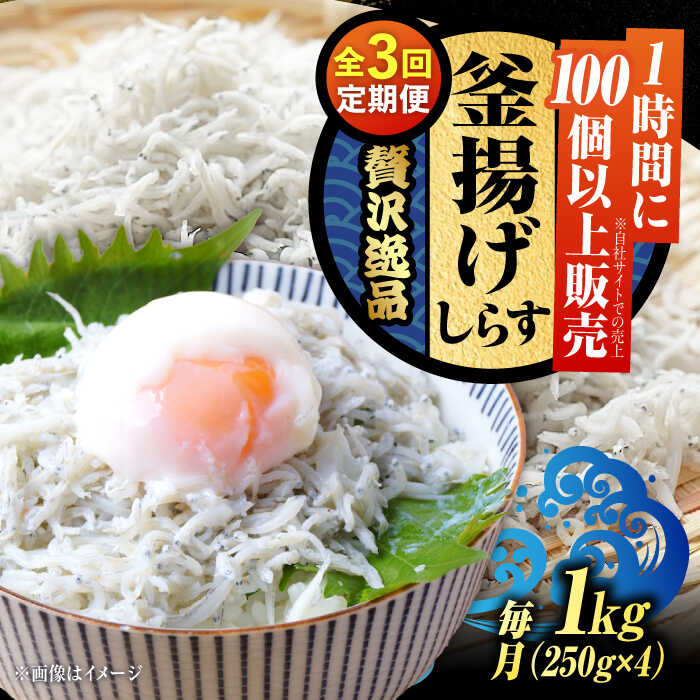 【ふるさと納税】【全3回定期便】鮮度抜群＆水分率80％!ふわふわ釜揚げしらす 1kg 冷凍 シラス 鮮魚 ギフト 海鮮丼 広島県 江田島/三島水産株式会社[XCN008]