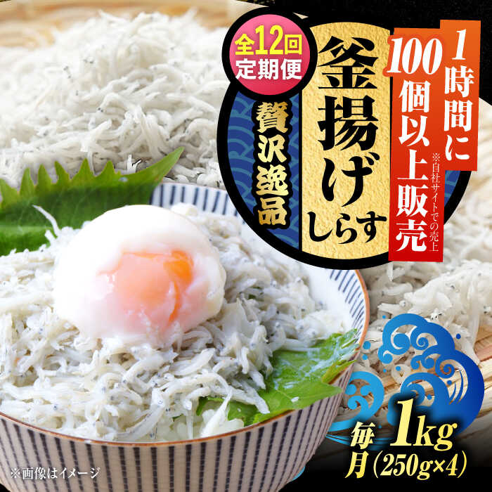 【ふるさと納税】【全12回定期便】鮮度抜群＆水分率80％!ふわふわ釜揚げしらす 1kg 冷凍 シラス 鮮魚 ギフト 海鮮丼 広島県 江田島/三島水産株式会社[XCN010]
