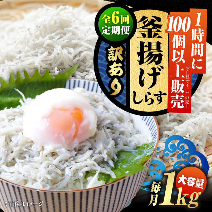 【ふるさと納税】【全6回定期便】【訳あり】しらす 冷凍 シラス 干し 釜揚げ鮮度抜群＆水分率80％!ふわふわ釜揚げしらす 1kg （業務用） 冷凍 シラス 鮮魚 ギフト 海鮮丼 広島県 江田島/三島水産株式会社[XCN027]