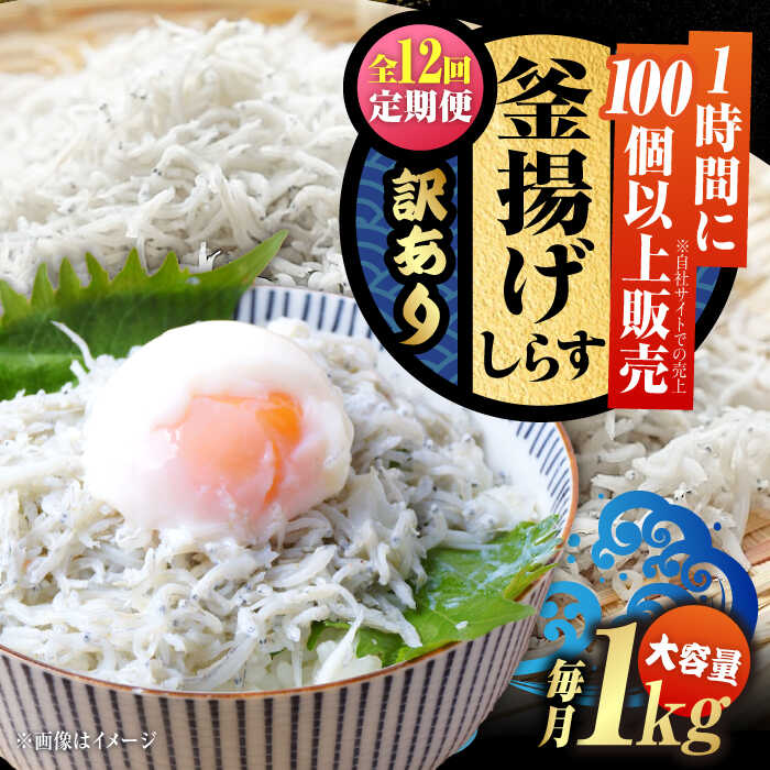 【ふるさと納税】【全12回定期便】【訳あり】しらす 冷凍 シラス 干し 釜揚げ鮮度抜群＆水分率80％!ふわふわ釜揚げしらす 1kg （業務用） 冷凍 シラス 鮮魚 ギフト 海鮮丼 広島県 江田島/三島水産株式会社[XCN028]
