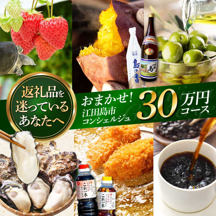 【ふるさと納税】【江田島市コンシェルジュ】返礼品おまかせ！寄附額30万円コース 300000円 牡蠣 柑橘 詰め合わせ プレゼント 内祝い お返し ギフト グルメ 食品 お取り寄せ グルメ 海鮮 おつまみ 高級[XZZ002]｜広島県江田島市