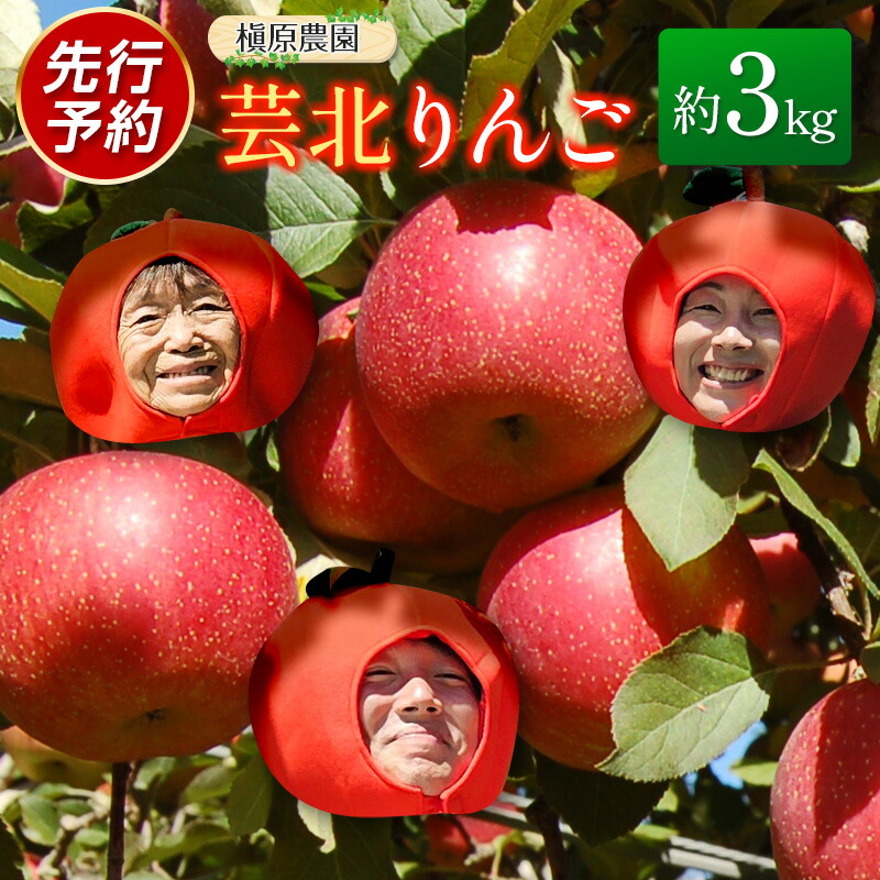 【ふるさと納税】りんご 国産 3kg 農家直送 槇原農園 芸北りんご 林檎 トキ 早生ふじ 千秋 シナノドルチェ シナノスイート ぐんま名月 シナノゴールド ふじ