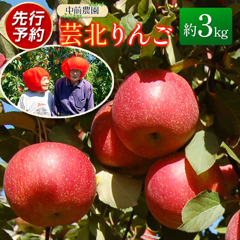【ふるさと納税】りんご 国産 3kg 農家直送 中前農園 芸北りんご 林檎 シナノスイート ぐんま名月 ジョナゴールド ふじ