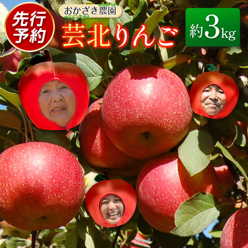 【ふるさと納税】りんご 国産 3kg 農家直送 おかざき農園 芸北りんご 林檎 秋映 陽光 ぐんま名月 あいかの香り ふじ