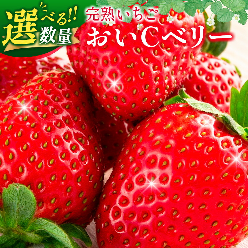 【ふるさと納税】完熟いちご おいＣベリー 農場直送 北広島農場のおいＣベリー 西日本高速道路エンジニアリング中国北広島農場 - 商品メイン画像