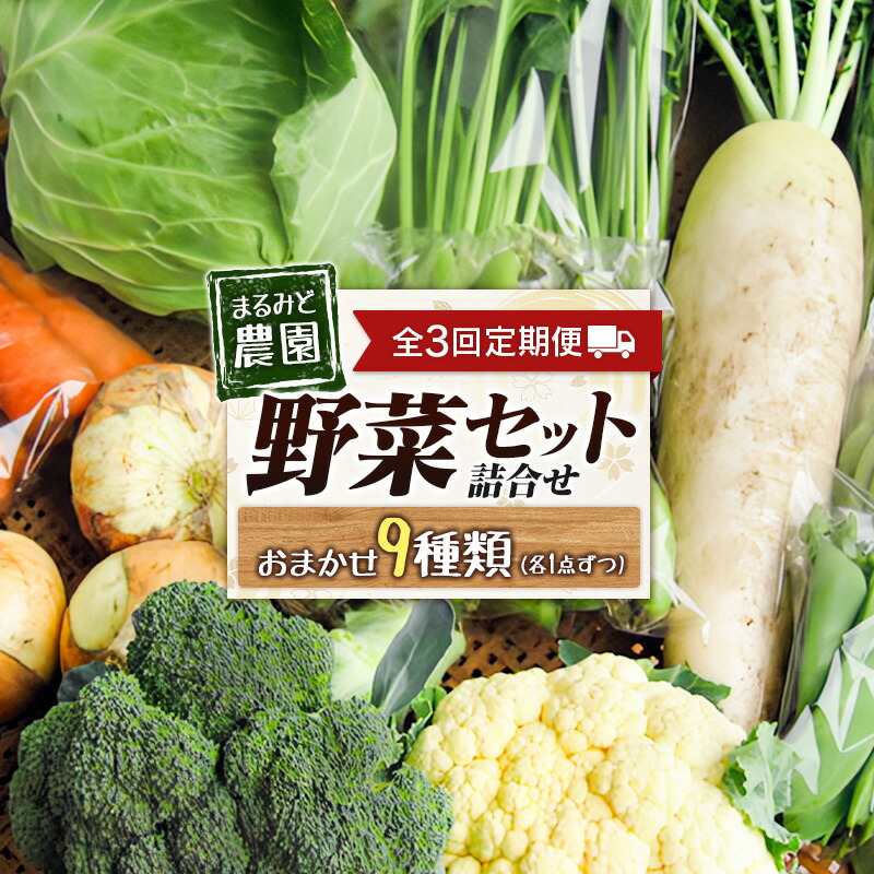 【ふるさと納税】『定期便』全3回 野菜セット 詰め合わせ まるみど農園の季節のお野菜便 隔月 9種類 旬 農家直送 国産 送料無料