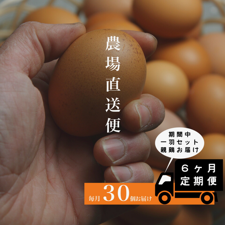 楽天市場】【ふるさと納税】『定期便』全6回 卵 平飼い 30個 楽天市場】【ふるさと納税】『定期便』全6回 卵 平飼い 30個