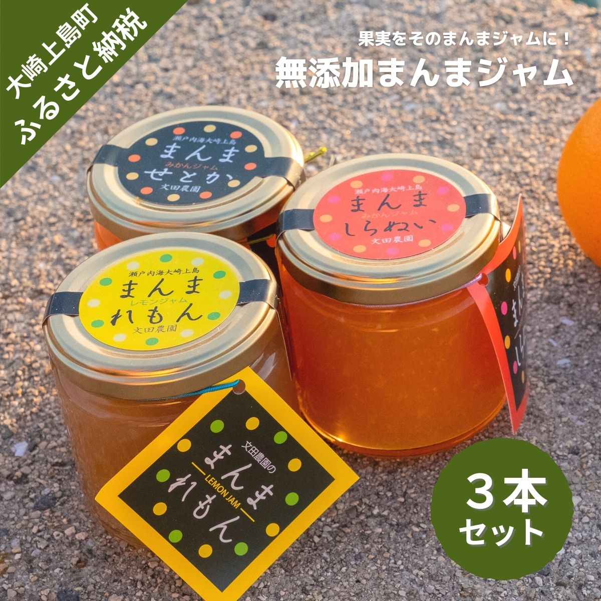 【ふるさと納税】文田農園 まんまジャム 200g 3本 広島県 大崎上島町 瀬戸内 離島 国産 柑橘 せとか 不知火 しらぬい レモン 檸檬 果物 フルーツ セット 詰め合わせ ギフト 送料無料 産地直送|広島県大崎上島町
